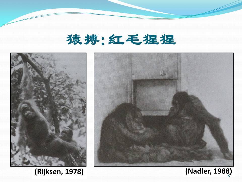 人类起源的大致过程是什么？945 / 作者:YYYLLLYYY888 / 帖子ID:31405