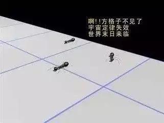 有多少个维度的宇宙，一文秒懂从一维宇宙到十维宇宙61 / 作者:ttyn727 / 帖子ID:31516