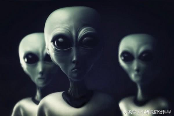 为什么说我们每个人其实都见过外星人？291 / 作者:一条龙 / 帖子ID:31645