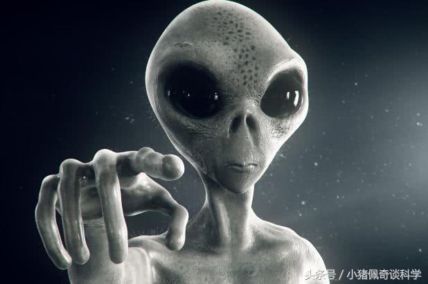 为什么说我们每个人其实都见过外星人？776 / 作者:一条龙 / 帖子ID:31645