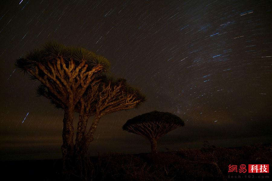 索科特拉岛是“地球上最像外星的海岛”423 / 作者:UFO外星人爱好者 / 帖子ID:31698