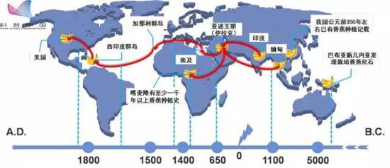 我们吃的香蕉是“替补”品种？523 / 作者:UFO外星人爱好者 / 帖子ID:31783