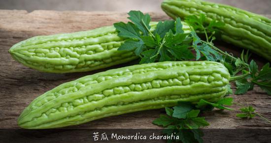 来了解一下植物带给人的甜酸苦咸鲜肥705 / 作者:UFO外星人爱好者 / 帖子ID:31786