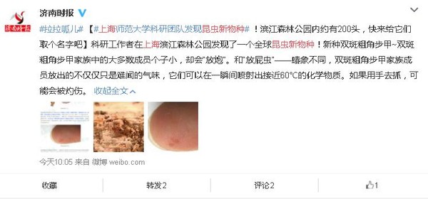 上海现昆虫新物种可本身60度液体暂未命名64 / 作者:UFO外星人爱好者 / 帖子ID:31882