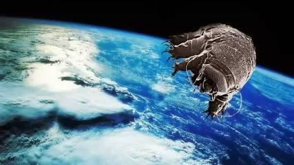 "水熊虫"是什么，不死生物怎么杀死它1000 / 作者:13633808 / 帖子ID:31897