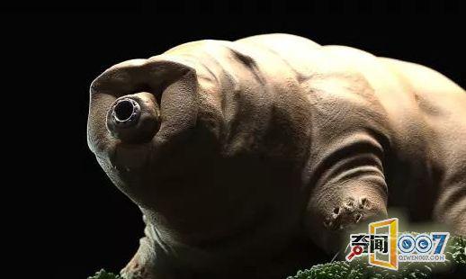 地球上唯一的不死生物 能称霸整个宇宙58 / 作者:流氓插件 / 帖子ID:31911