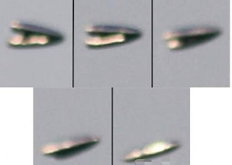 土耳其拍到清晰的UFO照片 这次还打开了舱门?606 / 作者:UFO外星人爱好者 / 帖子ID:31878
