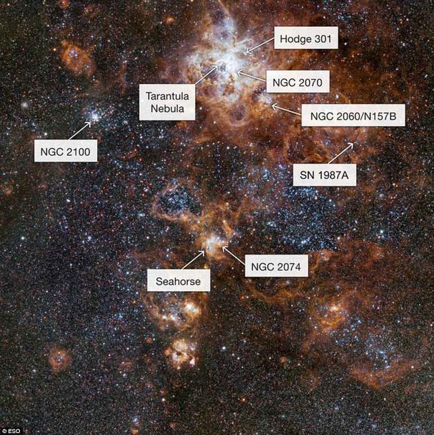 穿越蜘蛛星云：新图像揭示16万光年外的宇宙景观94 / 作者:UFO外星人爱好者 / 帖子ID:31923