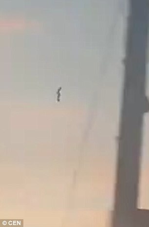 墨西哥出现UFO,疑似监视人类69 / 作者:UFO外星人爱好者 / 帖子ID:32044 墨西哥出现UFO,疑似监视人类69 / 作者:UFO外星人爱好者 / 帖子ID:32044
