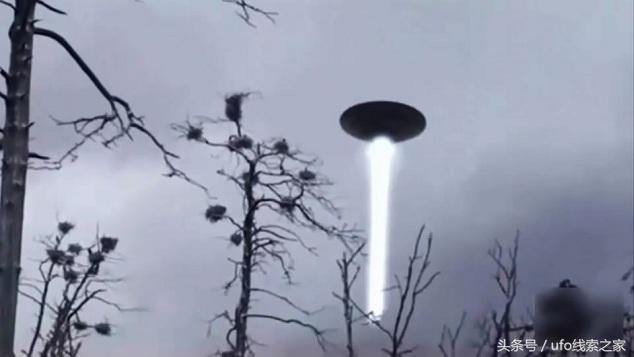 中国“罗斯威尔事件”档案记录437 / 作者:UFO外星人爱好者 / 帖子ID:32325