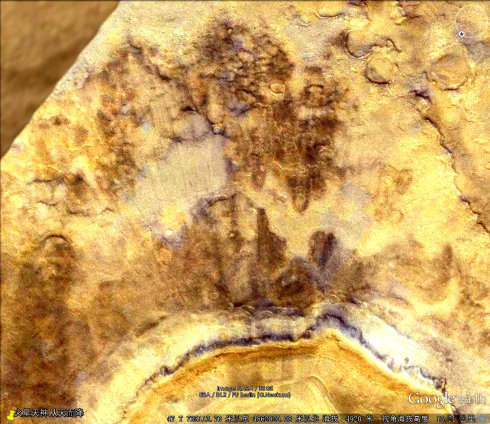 火星是人类传播到地球的跳板360 / 作者:UFO外星人爱好者 / 帖子ID:32468