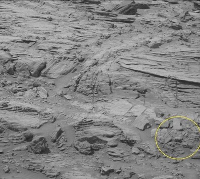 火星照片上发现熊 呼吁联合国调查263 / 作者:UFO外星人爱好者 / 帖子ID:32466