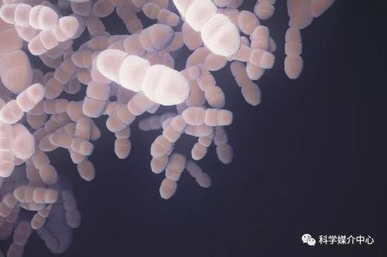 探索外太空需要回答的八个伦理问题898 / 作者:UFO外星人爱好者 / 帖子ID:32488