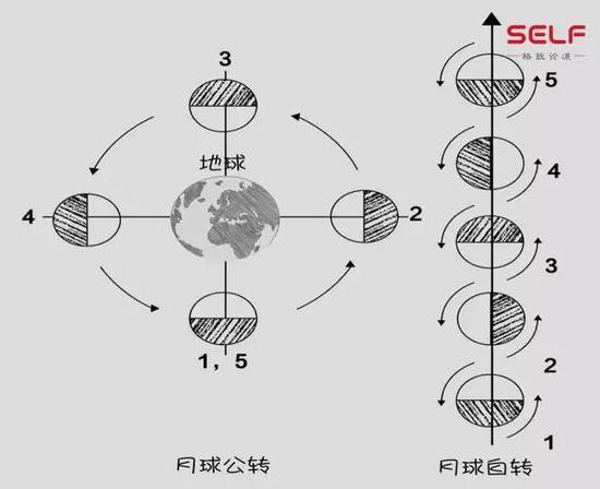 期待：未来“嫦娥之父”将探索月球背面490 / 作者:UFO外星人爱好者 / 帖子ID:32486
