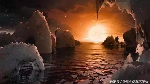 科学家对外星生物解读：引力较弱的星球动植物将生长得更高770 / 作者:dsadsadsasd / 帖子ID:32570