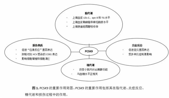 清大施一公：世界可能根本就不存在249 / 作者:dzlqsq / 帖子ID:32575