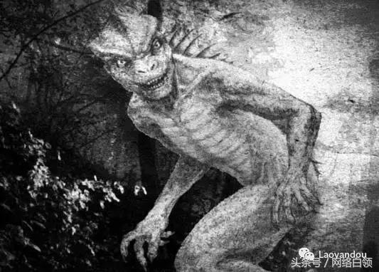 蜥蜴人、霍普金斯维尔的恶鬼等最新十大神秘事件845 / 作者:dreamxyp@56.com / 帖子ID:32684