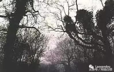 蜥蜴人、霍普金斯维尔的恶鬼等最新十大神秘事件18 / 作者:dreamxyp@56.com / 帖子ID:32684