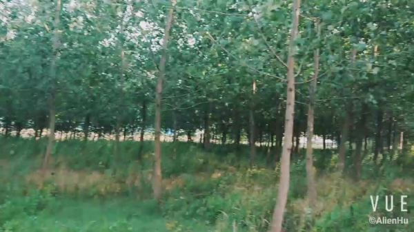 外星人：“玉泉路（外二首）！”856 / 作者:mxptmrh / 帖子ID:32708