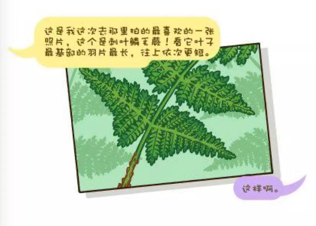 《湮灭》告诉我们：外星考察，千万别带生物学家878 / 作者:sniper1980t / 帖子ID:32720