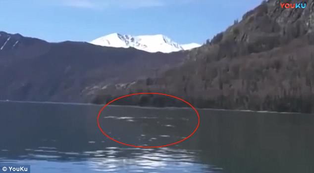 中国游客在国内喀纳斯湖拍到“水怪”？170 / 作者:UFO外星人爱好者 / 帖子ID:32794