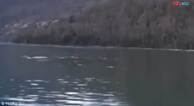 中国游客在国内喀纳斯湖拍到“水怪”？686 / 作者:UFO外星人爱好者 / 帖子ID:32794