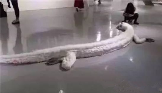 世界上仅存的三条蛟龙之一被杀！世界上有真龙存在吗？140 / 作者:UFO外星人爱好者 / 帖子ID:32844