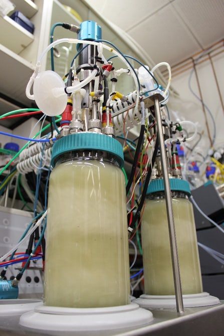模拟土卫二土壤的细菌培养实验：有些可以存活91 / 作者:UFO外星人爱好者 / 帖子ID:33092