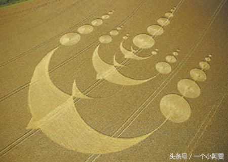 “麦田怪圈”的形成196 / 作者:闲不住a / 帖子ID:33665