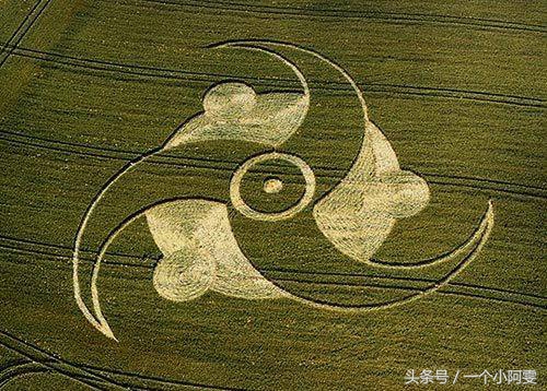 “麦田怪圈”的形成316 / 作者:闲不住a / 帖子ID:33665