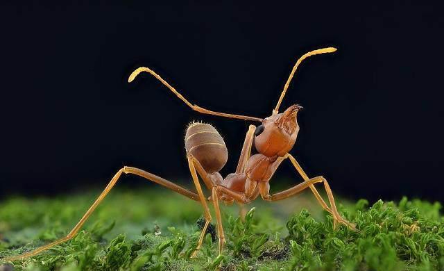 为什么寻找外星生物时一定要找水？难道外星生物也离不开水吗？59 / 作者:twxd / 帖子ID:33676
