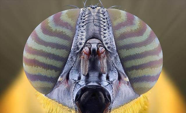 为什么寻找外星生物时一定要找水？难道外星生物也离不开水吗？678 / 作者:twxd / 帖子ID:33676