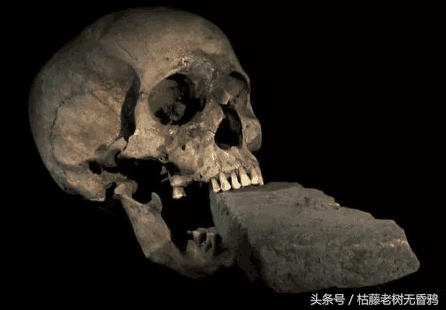 13个重大考古大发现，让科学家不得不相信，时空旅行真的存在427 / 作者:jeff963 / 帖子ID:33820