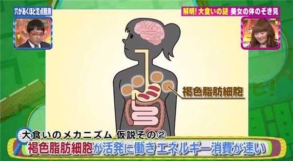 大胃王木下佑哗为什么这么能吃_为什么吃不胖995 / 作者:UFO外星人爱好者 / 帖子ID:33904
