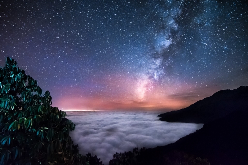 “自然的力量”大赛获奖名单出炉 美不胜收687 / 作者:UFO外星人爱好者 / 帖子ID:33918