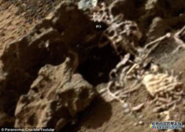 火星表面发现“外星人尸骨”？你们想太多了。191 / 作者:UFO外星人爱好者 / 帖子ID:34024
