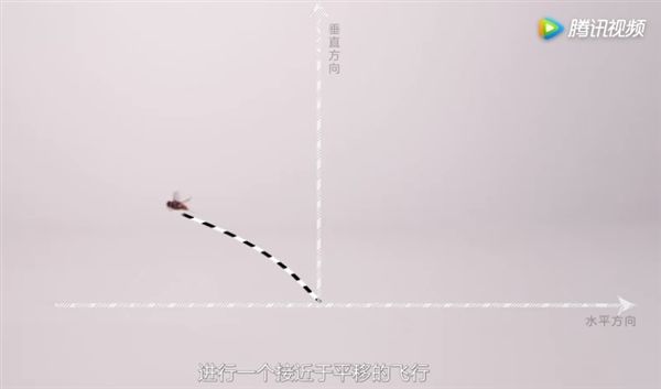 了解苍蝇的起飞原理j就可以徒手抓苍蝇？！329 / 作者:UFO外星人爱好者 / 帖子ID:34088