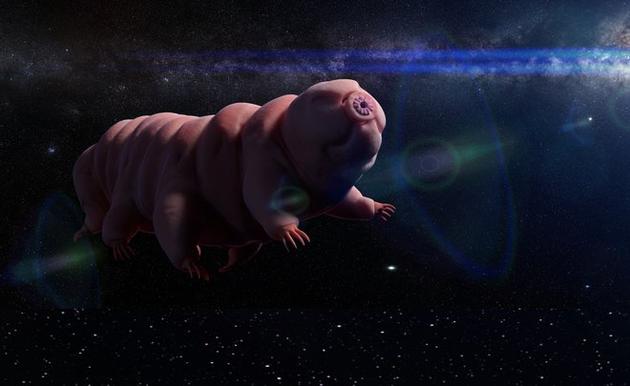 首批星际航行旅客可能是一只“水熊虫”899 / 作者:UFO外星人爱好者 / 帖子ID:34127