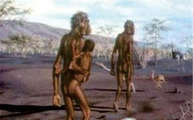 达尔文预言中失落的一环，人类祖先真的来自非洲101 / 作者:UFO外星人爱好者 / 帖子ID:34236