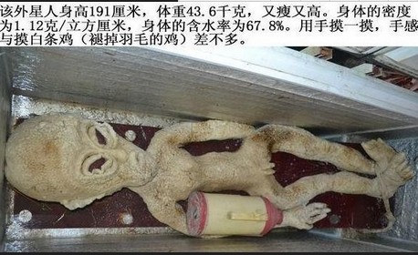 电死外星人事件真假大揭秘350 / 作者:UFO外星人爱好者 / 帖子ID:34323