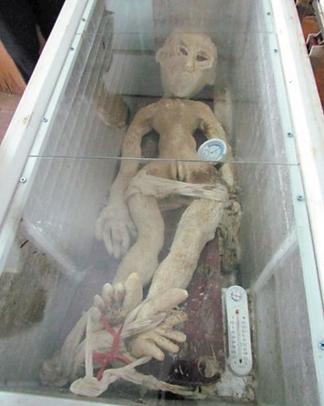 电死外星人事件真假大揭秘236 / 作者:UFO外星人爱好者 / 帖子ID:34323