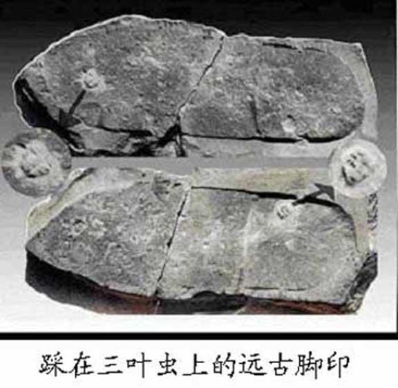 人类起源非洲？387 / 作者:闲不住a / 帖子ID:34379