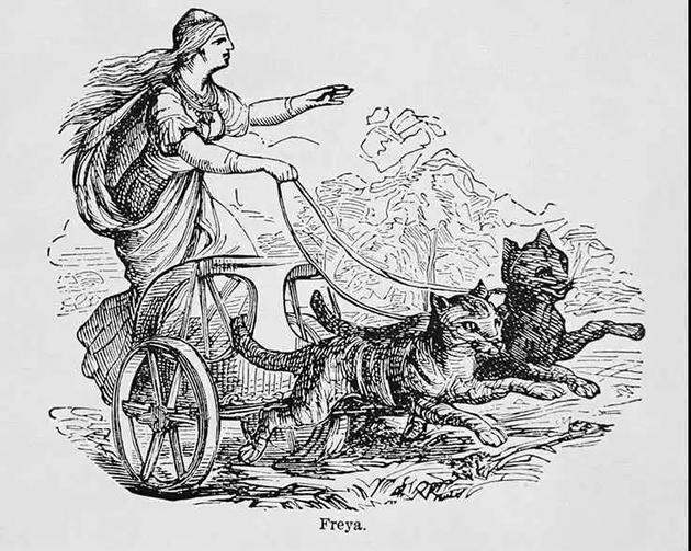 中世纪屠杀猫的事件：猫是女巫同类？还是其他原因？471 / 作者:UFO外星人爱好者 / 帖子ID:34444