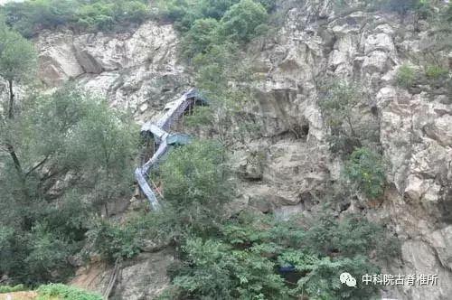 古人类幼年化石：对探讨人类起源演化过程有重大意义！914 / 作者:UFO外星人爱好者 / 帖子ID:34591