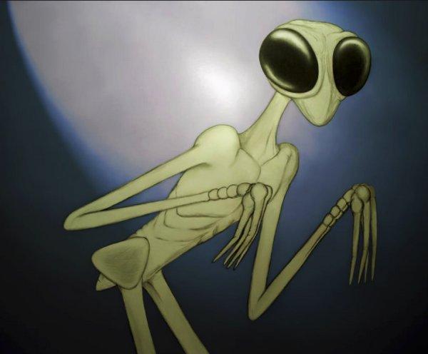 外星人到底长什么样？其实外星人不只一种！301 / 作者:everloses / 帖子ID:34537