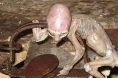 十大太空离奇事件揭示外星人之谜816 / 作者:UFO外星人爱好者 / 帖子ID:34925