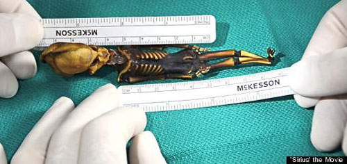 阿塔卡马人形是外星人吗? 科学有答案了!597 / 作者:UFO外星人爱好者 / 帖子ID:34920