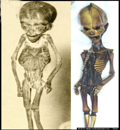 阿塔卡马人形是外星人吗? 科学有答案了!896 / 作者:UFO外星人爱好者 / 帖子ID:34920