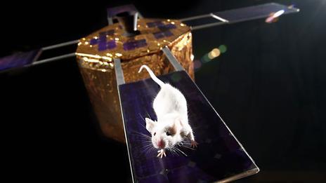 猜想：移民外星多少人合适594 / 作者:UFO外星人爱好者 / 帖子ID:34974