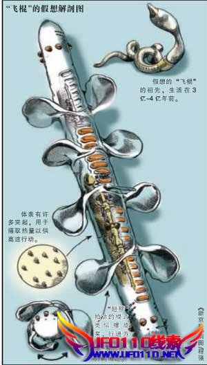 全方位解密“神棍”(组图)714 / 作者:UFO外星人爱好者 / 帖子ID:35232